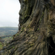 Illustration for article titled Movie Review: A Monster Calls Is a Monstrously Powerful Tearjerker